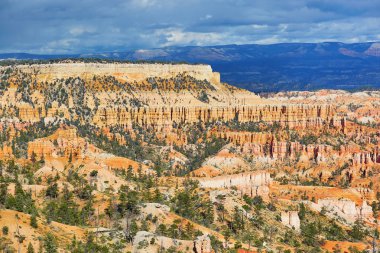 Kırmızı kumtaşı hoodoos Bryce Canyon Milli Parkı'nda Utah, ABD