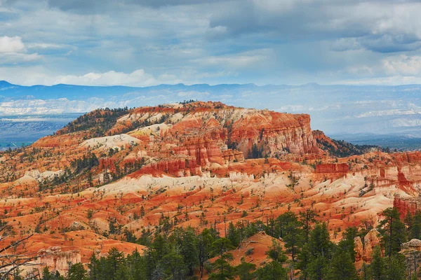 Vörös homokkő hoodoos a Bryce Canyon Nemzeti Park Utah, Amerikai Egyesült Államok — Stock Fotó