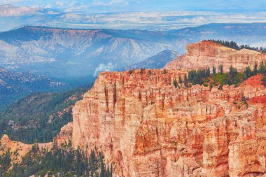 Kırmızı kumtaşı hoodoos Bryce Canyon Milli Parkı'nda Utah, ABD