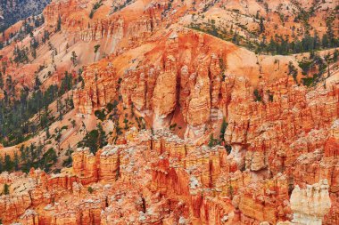 Kırmızı kumtaşı hoodoos Bryce Canyon Milli Parkı'nda Utah, ABD