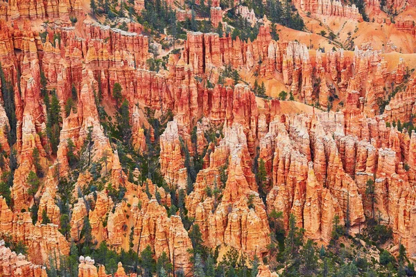 Kırmızı kumtaşı hoodoos Bryce Canyon Milli Parkı'nda Utah, ABD