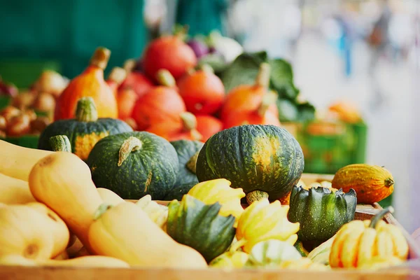 Abóboras de laranja maduras no mercado agrícola dos agricultores — Fotografia de Stock