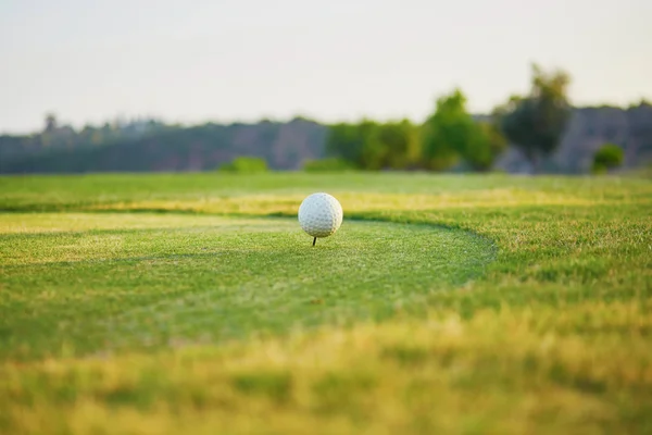 Fechar a bola de golfe no verde — Fotografia de Stock
