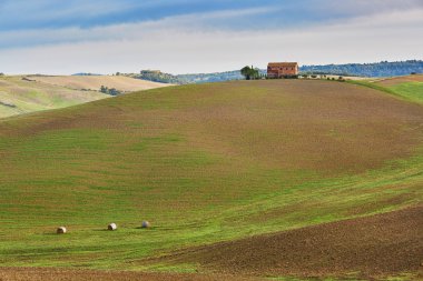 Tuscan alanları ve tepeler sis ile doğal görünümü