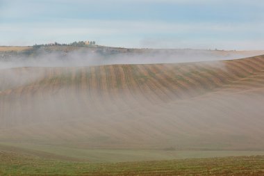 Tuscan alanları ve tepeler sis ile doğal görünümü