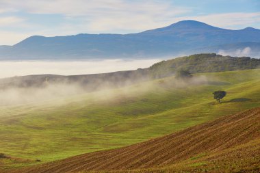 Tuscan alanları ve tepeler sis ile doğal görünümü