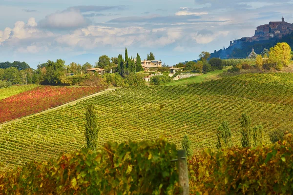 Malebné toskánské vinice pohled — Stock fotografie