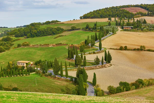 Tuscan kanat yolun selvi ile doğal görünümü — Stok fotoğraf