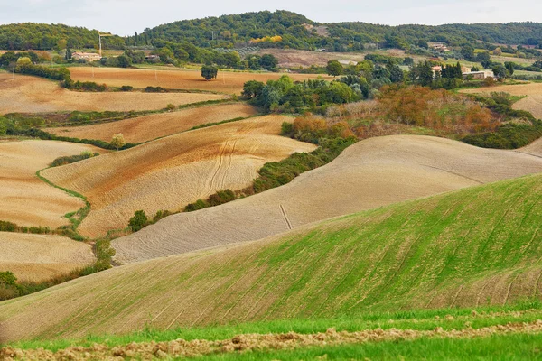 Vista panoramica dei campi e delle colline toscane con nebbia — Foto Stock