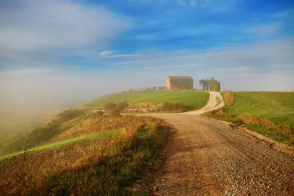 Vista panoramica dei campi e delle colline toscane con nebbia — Foto Stock