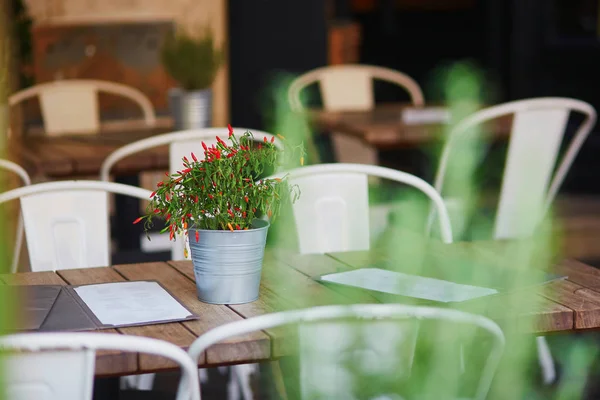 Acogedor café al aire libre en Roma, Italia —  Fotos de Stock