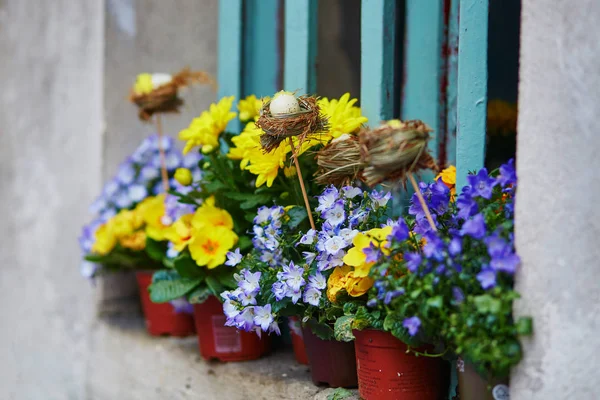 Lindas flores com decoração de ovo de Páscoa na soleira da janela — Fotografia de Stock