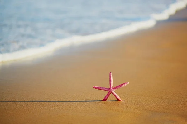 Estrela-do-mar vermelha na praia de areia exótica — Fotografia de Stock