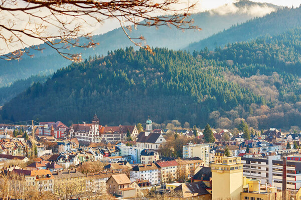 Панорама Фрайбурга-им-Брайсгау
