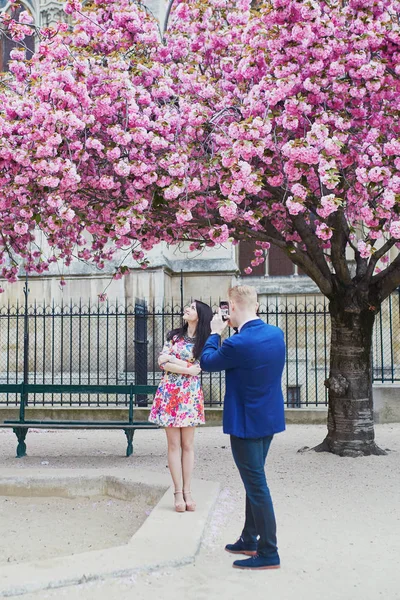 Romanttinen pari Pariisissa kirsikankukka puita — kuvapankkivalokuva