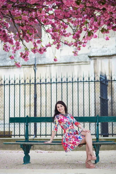 Romantic couple in Paris with cherry blossom trees — Stock Photo, Image