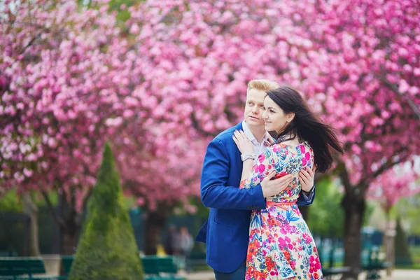 Couple romantique à Paris avec des cerisiers en fleurs — Photo