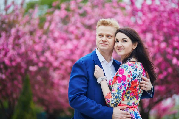 Romantic couple in Paris with cherry blossom trees — Stock Photo, Image