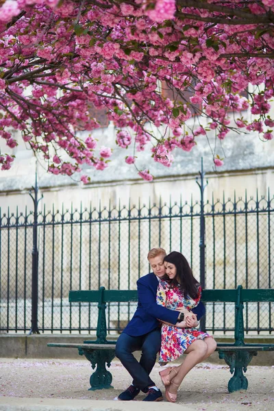 Romantic couple in Paris with cherry blossom trees — Stock Photo, Image