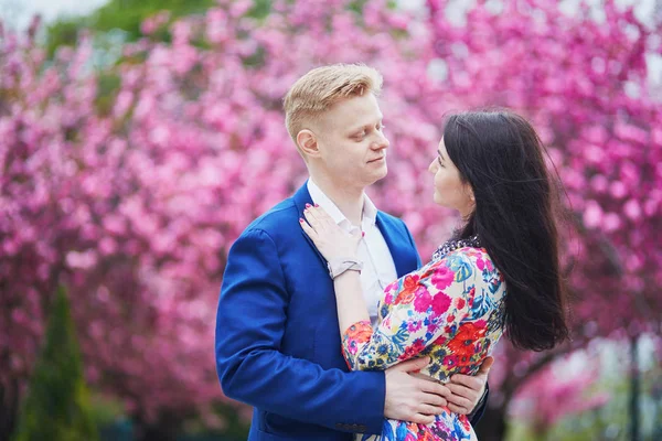 Romantische koppel in Parijs met bomen van de kersenbloesem — Stockfoto