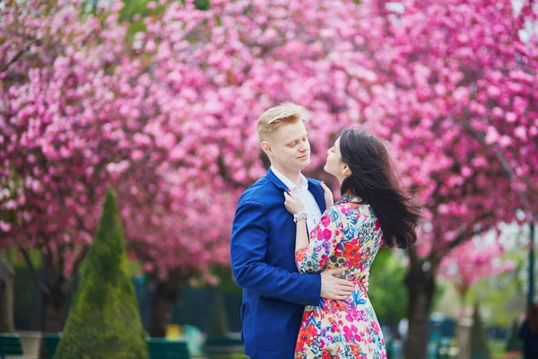 Romantic couple in Paris with cherry blossom trees — Stock Photo, Image