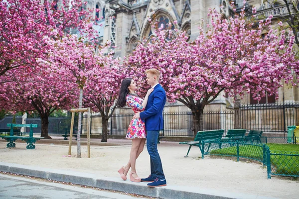 Romantic couple in Paris with cherry blossom trees — Stock Photo, Image