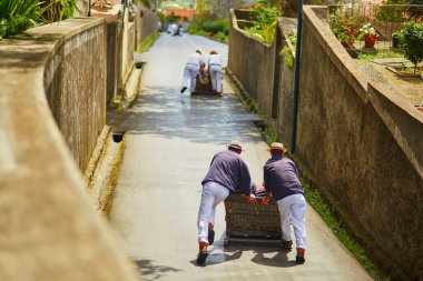 Ahşap iterek kızak biniciler sledge yokuş aşağı Funchal, Madeira Adası, Portekiz