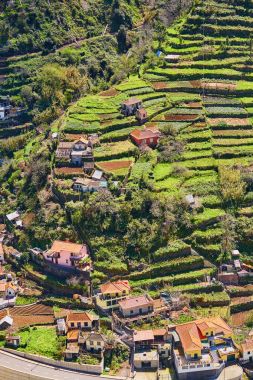 Tipik Madeira yatay, küçük köy, Teras alanları ve dağlar