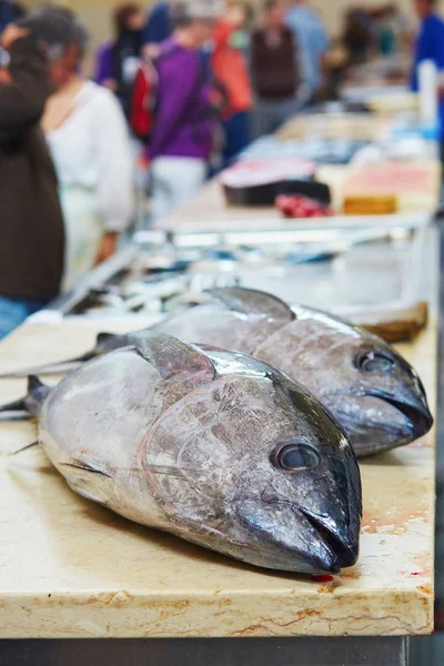 Атлантический тунец на рыбном рынке Португалии — стоковое фото