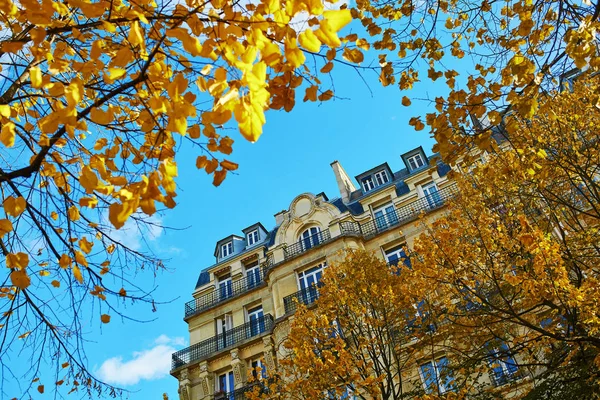 Edificio parisino y hojas doradas de otoño sobre el cielo azul —  Fotos de Stock