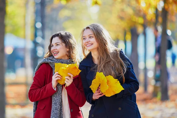 Two young girls on a sunny fall day — Stock Photo, Image