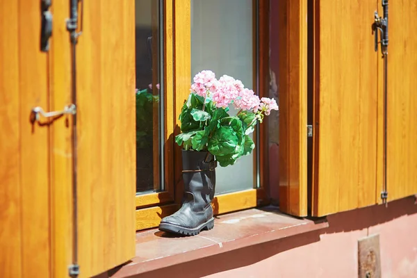 Pink flowers in high boot on window sill — Stock Photo, Image