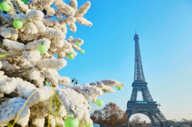 Noel ağacı Paris'te Eyfel Kulesinin yakınında kar ile kaplı