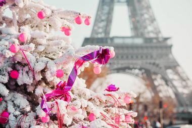 Noel ağacı Paris'te Eyfel Kulesinin yakınında kar ile kaplı