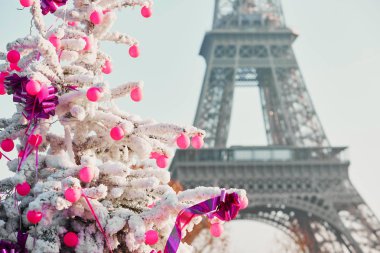 Noel ağacı Paris'te Eyfel Kulesinin yakınında kar ile kaplı