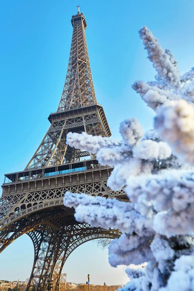 Arbre de Noël couvert de neige près de la Tour Eiffel à Paris — Photo