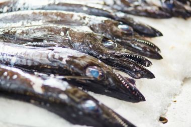 Atlantik largehead hairtails geleneksel balık pazarında Funchal