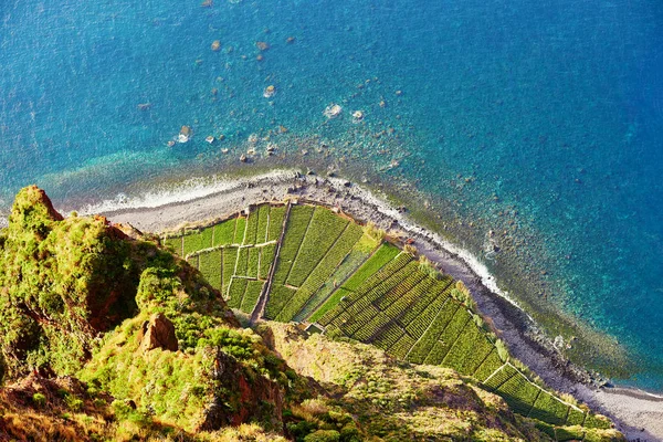 Flygfoto över terrass fält på Cabo Girao, Madeira, Portugal — Stockfoto