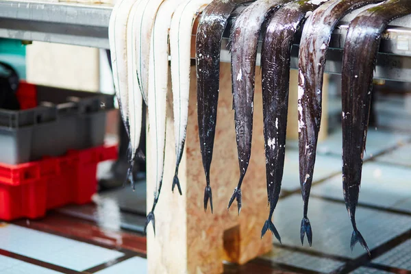 Atlantische largehead hairtails op traditionele vismarkt in Funchal — Stockfoto