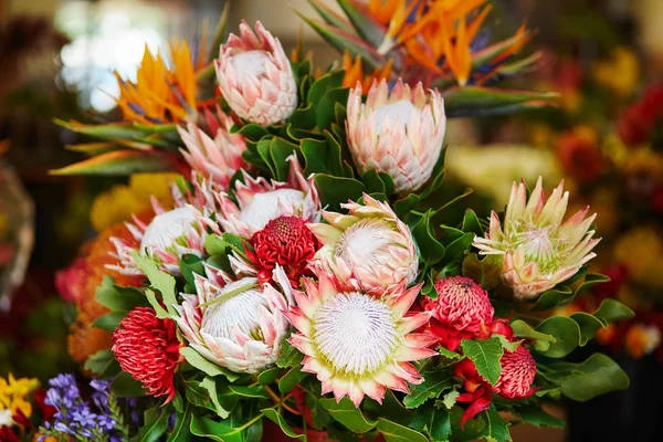 A Protea virágok piaci Funchal, Madeira-sziget, Portugália — Stock Fotó