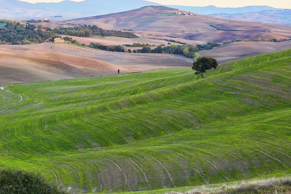 Landscape of San Quirico d'Orcia, Tuscany, Italy — Stock Photo, Image