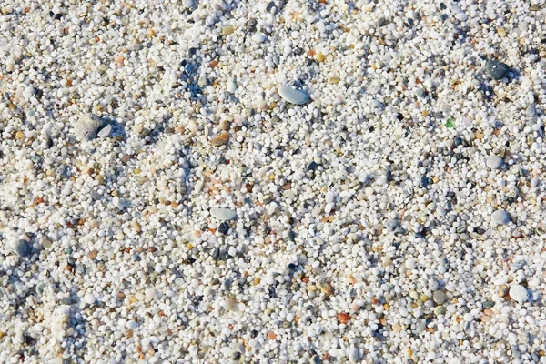 イタリア サルディニア島米ビーチとして知られているアルタスのビーチに多くの白い粒のクローズ アップ — ストック写真