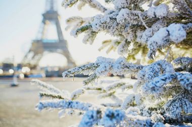 Noel ağacı Paris, Fransa'da Eyfel Kulesinin yakınında kar ile kaplı