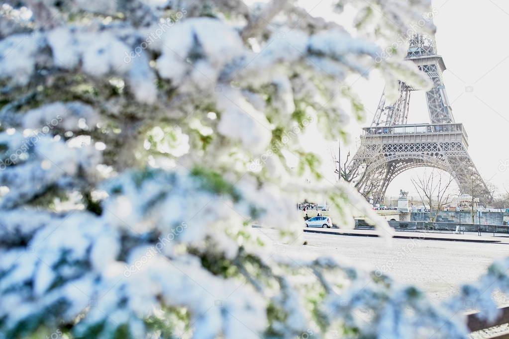 Christmas tree covered with snow near the Eiffel tower in Paris, France