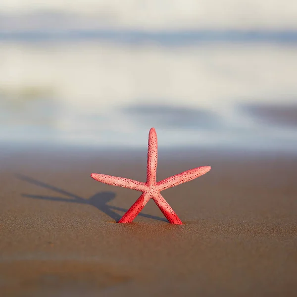 Uzun Gölge Ile Gün Batımında Egzotik Kum Plajı Üzerinde Kırmızı — Stok fotoğraf