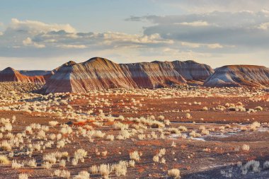 Scenic view of a landscape in the Painted Desert national park in Arizona, USA clipart
