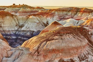 Scenic view of a landscape in the Painted Desert national park in Arizona, USA clipart