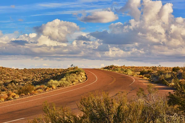 Boyalı Çöl Milli Parkı Arizona Abd Bir Peyzaj Doğal Görünümü — Stok fotoğraf