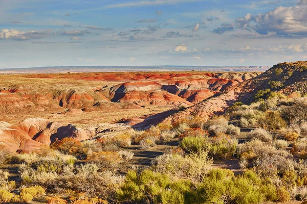 Мальовничий Вид Ландшафт Пустелі Пофарбовані Національний Парк Штаті Арізона Сша — стокове фото