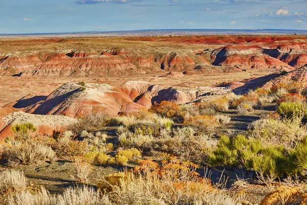 Scenic View Landscape Painted Desert National Park Arizona Usa — Stock Photo, Image